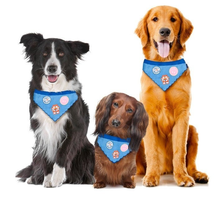 Boutique best sale dog bandana